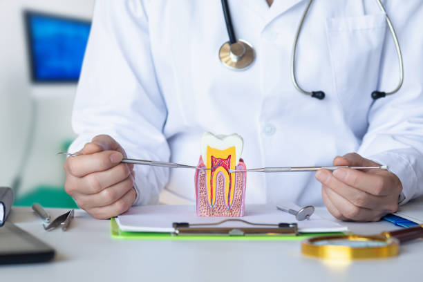 Best Emergency Tooth Extraction in Follansbee, WV